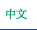 中文版